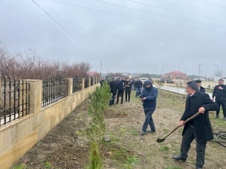 Laçınlılar “Yaşıl dünya naminə həmrəylik ili” çərçivəsində ağacəkmə aksiyası keçirmişlər.