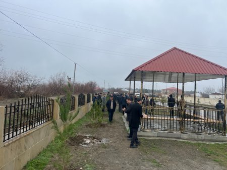 Laçınlılar “Yaşıl dünya naminə həmrəylik ili” çərçivəsində ağacəkmə aksiyası keçirmişlər.