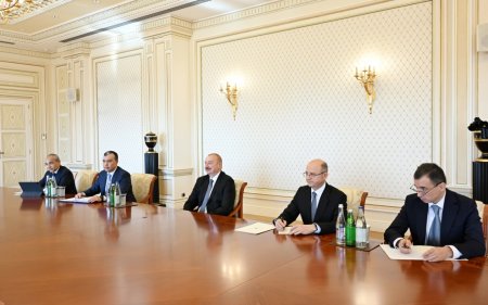 İlham Əliyev Rumıniyanın energetika nazirini qəbul edib