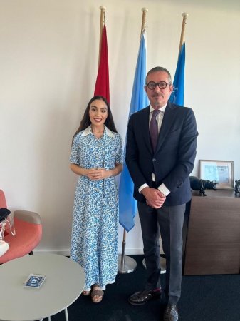Leyla Əliyeva İsveçrədə BMT ofisində görüşlər keçirib - Fotolar