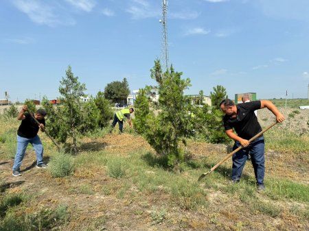 15 İyun - Milli Qurtuluş Günüdür