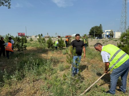 15 İyun - Milli Qurtuluş Günüdür