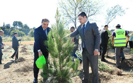 Gəncədə Anım Gününə həsr olunmuş ağacəkmə aksiyası keçirildi - Fotolar