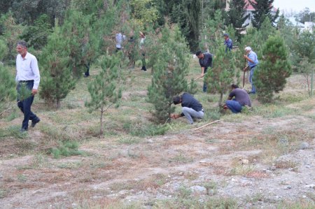 Laçınlı məcburi köçkünlər tərəfindən 27 sentyabr - Anım günü ərəfəsində Ağcabədi rayonunun Taxta Körpü qəsəbəsi ərazisində iməcilik keçirildi.
