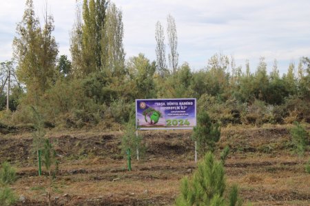 Laçınlılar “Yaşıl dünya üçün həmrəy olaq!” şüarı altında keçirilən ağacəkmə aksiyasında fəal iştirak edirlər.