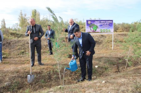 Laçınlılar “Yaşıl dünya üçün həmrəy olaq!” şüarı altında keçirilən ağacəkmə aksiyasında fəal iştirak edirlər.