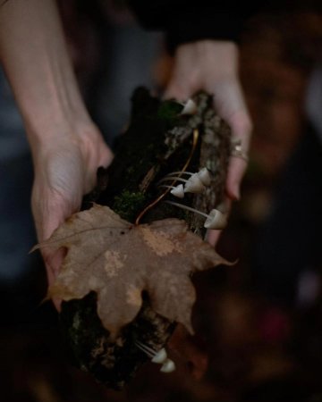 Leyla Əliyeva Altıağacda - Fotolar