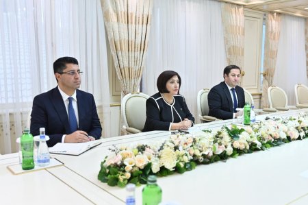 Sahibə Qafarova Rusiya səfiri ilə görüşüb - FOTO