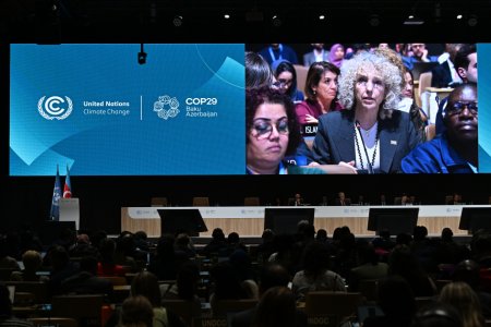 COP29-un Qurultayı - FOTO