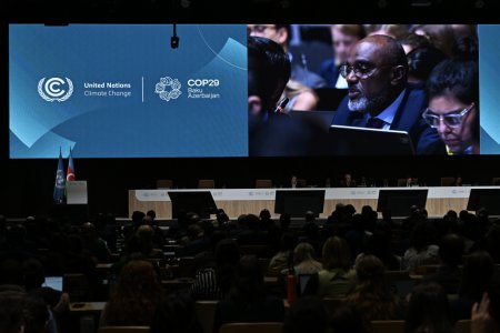 COP29-un Qurultayı - FOTO