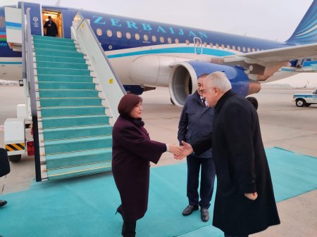 Sahibə Qafarova Türkiyədə səfərdədir - FOTO