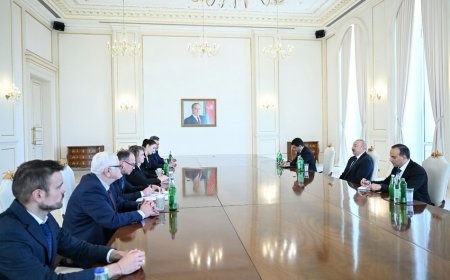 Nataliya Kiselova İlham Əliyevin qəbulunda