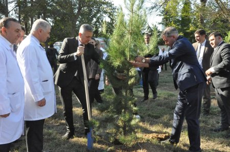Biləsuvar Rayon Mərkəzi Xəstəxanasında 27 Sentyabr-Anım günü ilə bağlı ağacəkmə aksiyası keçirilib.