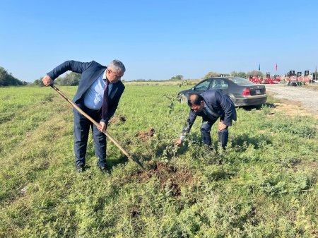 27 sentyabr – Milli Anım Günü münasibətilə Ağcabədi bələdiyyəsinin sədri İsmayıl Rəsulov şəhidlərin məzarını ziyarət edib.
