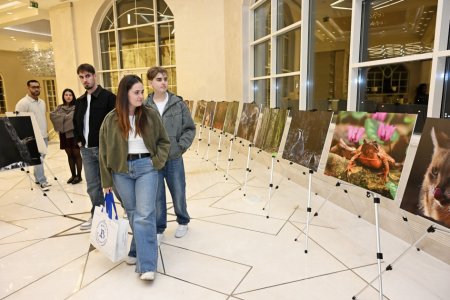 Leyla Əliyeva “Hirkan” filminin təqdimatında - FOTO