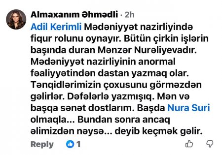 Nura Suri Yenə Həqiqətləri Yazdı – Sənət Yoldaşları da Dəstəklədi