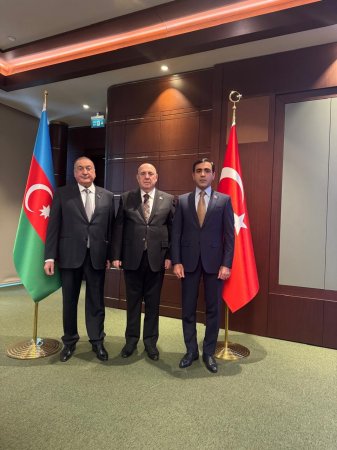 Deputatlar Ankarada Ulu Öndərin anım mərasimində - FOTOLAR