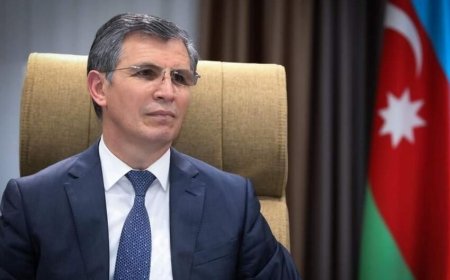 Bu il amnistiya verilməyəcək! - Komitə sədri