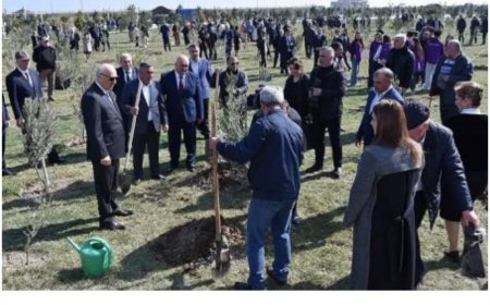 Sumqayıt Bulvar idarəsinin gördüyü işlər hər zaman Ölkə başçısı tərəfindən yüksək qiymətləndirilib