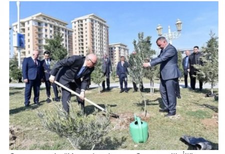 Sumqayıt Bulvar idarəsinin gördüyü işlər hər zaman Ölkə başçısı tərəfindən yüksək qiymətləndirilib