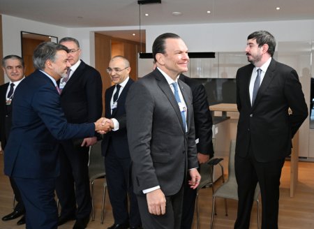 Prezident Davosda görüş keçirdi - FOTO