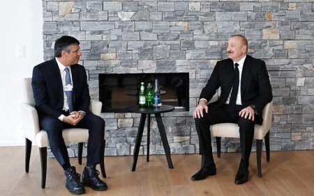 Prezident Davosda görüş keçirdi - FOTO