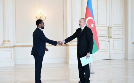 Prezident yeni səfirləri qəbul etdi - FOTOLAR (YENİLƏNİB)