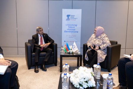 Nazir İstanbulda ikitərəfli görüşlər keçirdi - Fotolar