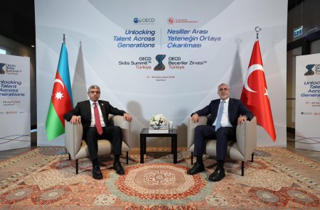 Nazir İstanbulda ikitərəfli görüşlər keçirdi - Fotolar