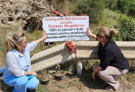 Müəllimlər Salatın Əsgərovanın şəhid olduğu yerə getdilər - FOTOLAR